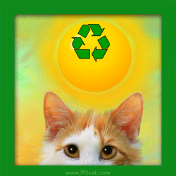 Cat Cake loves clean energy #pgcat #pgcats #renewableenergy #cleanenergy #funny #cat #caturdayeveryday #catlovers #sustainability #animation #gif