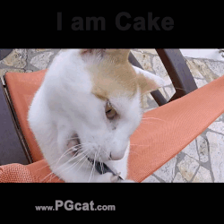 Cake 001 Animated