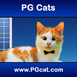 Cat Cake loves clean energy #pgcat #pgcats #renewableenergy #cleanenergy #funny #cat #caturdayeveryday #catlovers #sustainability #animation #gif