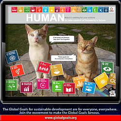 SDG cats 2