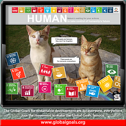 SDG cats 3