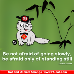 PG Cat Wisdom for Growth
