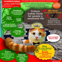 How to benefit from PG Cat Project Infographics