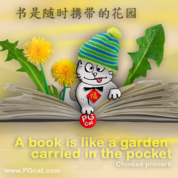 A book is like a garden carried in the pocket. | 书是随时携带的花园