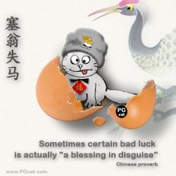 Certain bad luck is actually 'a blessing in disguise'. | 塞翁失马