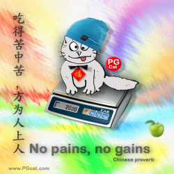 No pains, no gains | 吃得苦中苦方为人上人