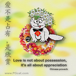 Love is not about possession, it's all about appreciation | 爱不是占有是欣赏