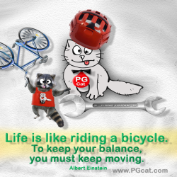Life is like riding a bicycle. To keep your balance, you must keep moving. Albert Einstein