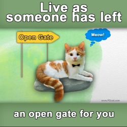 Live as someone has left an open gate for you