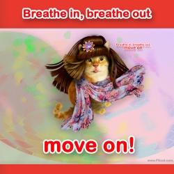 Breathe in, breathe out, move on.