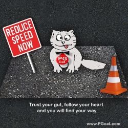 Trust your gut, follow your heart and you will find your way