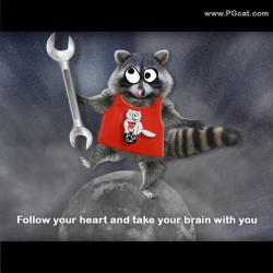 Follow your heart and take your brain with you