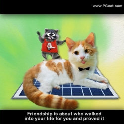 Friendship is about who walked into your life for you and proved it.