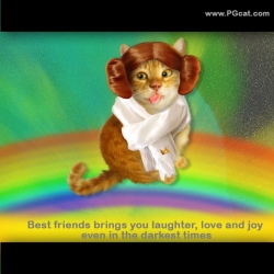 Best friends brings you laughter, love and joy even in the darkest times.