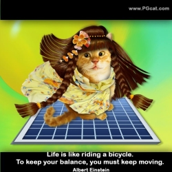 Life is like riding a bicycle. To keep your balance, you must keep moving. Albert Einstein.