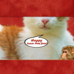 Happy Lunar (Chinese) New Year Greeting Templates with Ginger, Cake and PG Cat. Happiness, Health,  Prosperity, Good Fortune
