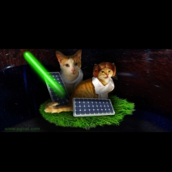 Princess Ginger and Cake Freewalker, PG Cat Family the guardians of peace and justice, Jedi