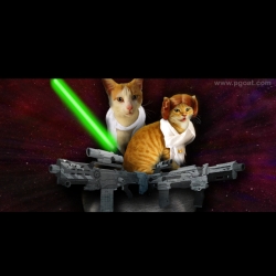 Princess Ginger and Cake Freewalker, PG Cat Family the guardians of peace and justice, Jedi